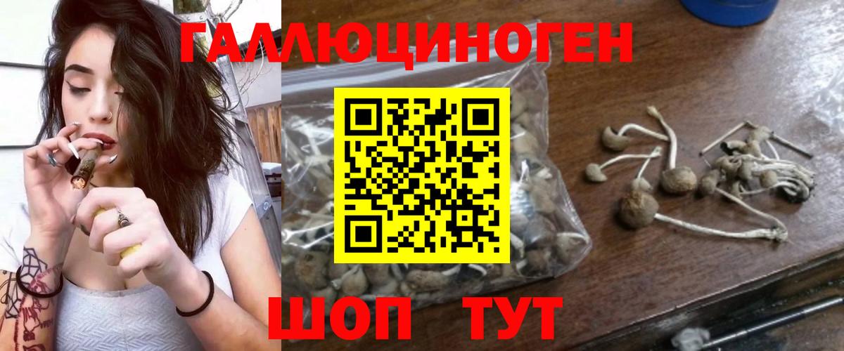 Сургут  Галлюциногенные грибы Psilocybine cubensis  Галлюциногенные грибы мухоморы  купить   Вход с VPN 